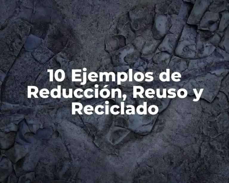 10 Ejemplos de Reducción, Reuso y Reciclado