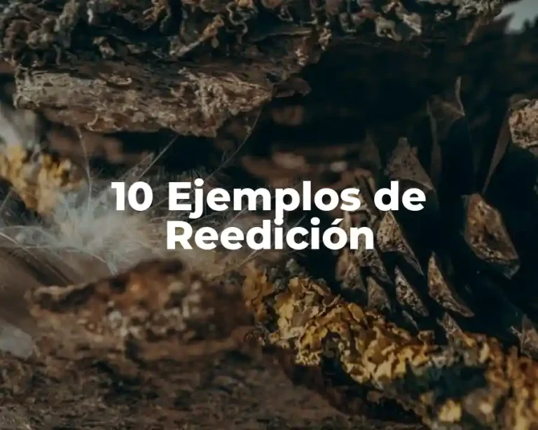 10 Ejemplos de Reedición