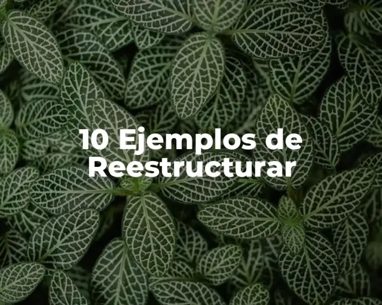 10 Ejemplos de Reestructurar