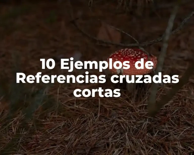 10 Ejemplos de Referencias cruzadas cortas