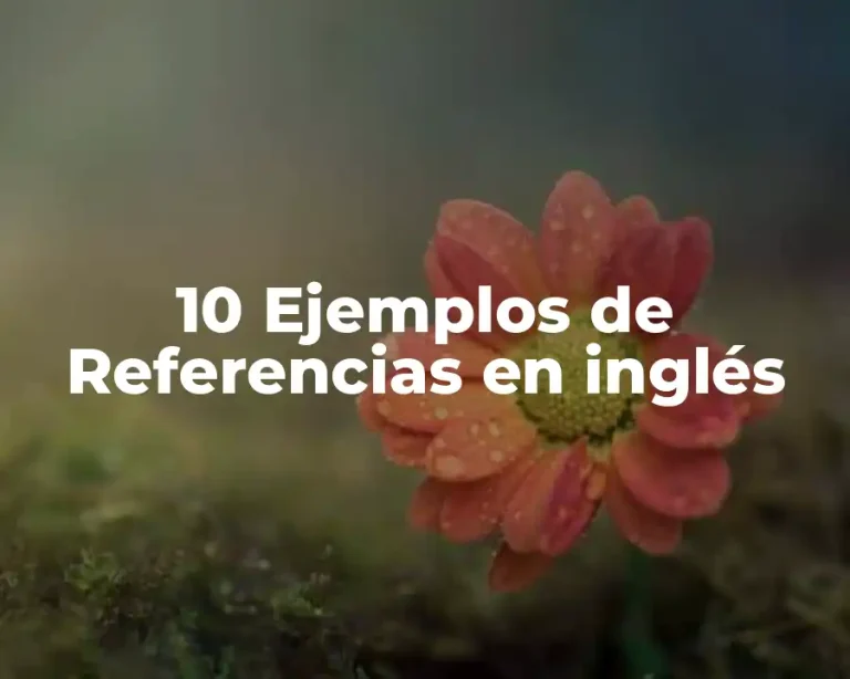 10 Ejemplos de Referencias en inglés
