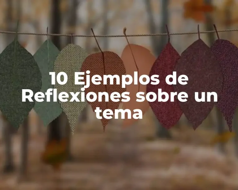 10 Ejemplos de Reflexiones sobre un tema