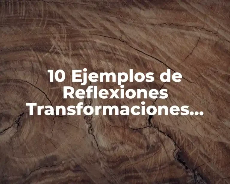 10 Ejemplos de Reflexiones Transformaciones Lineales