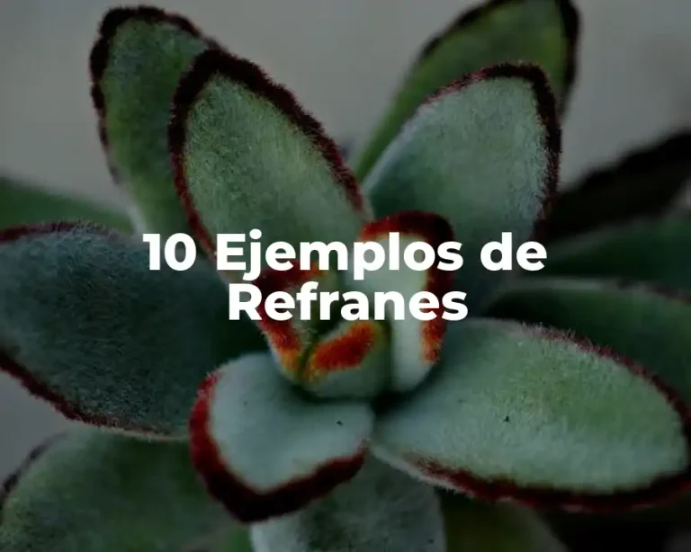 10 Ejemplos de Refranes
