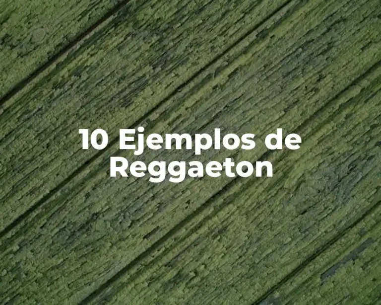 10 Ejemplos de Reggaeton