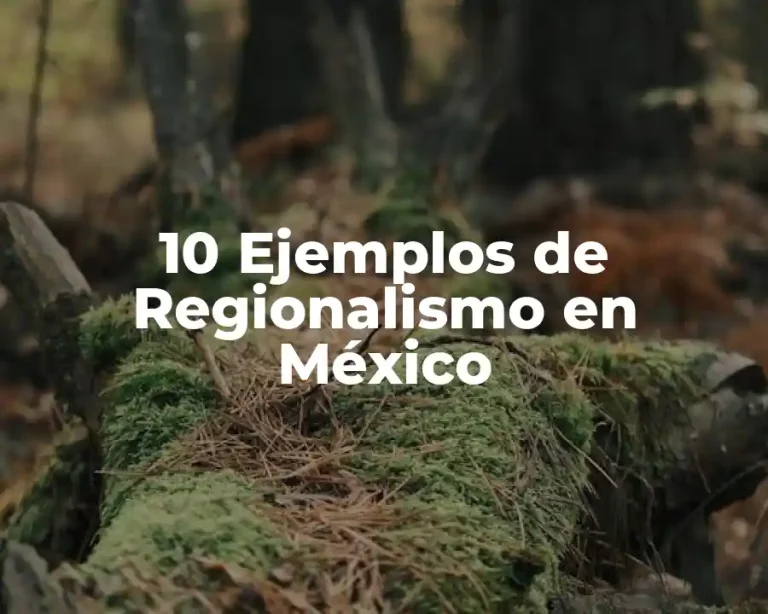 10 Ejemplos de Regionalismo en México