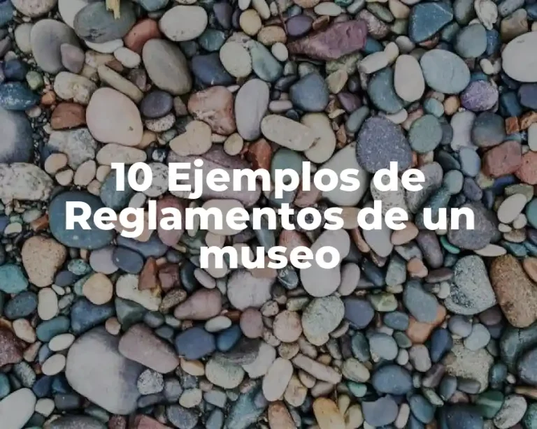 10 Ejemplos de Reglamentos de un museo