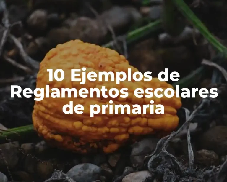 10 Ejemplos de Reglamentos escolares de primaria