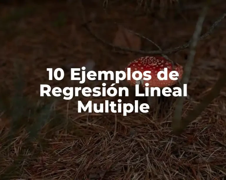 10 Ejemplos de Regresión Lineal Multiple
