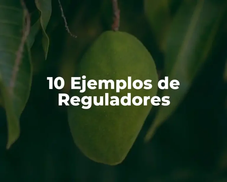 10 Ejemplos de Reguladores