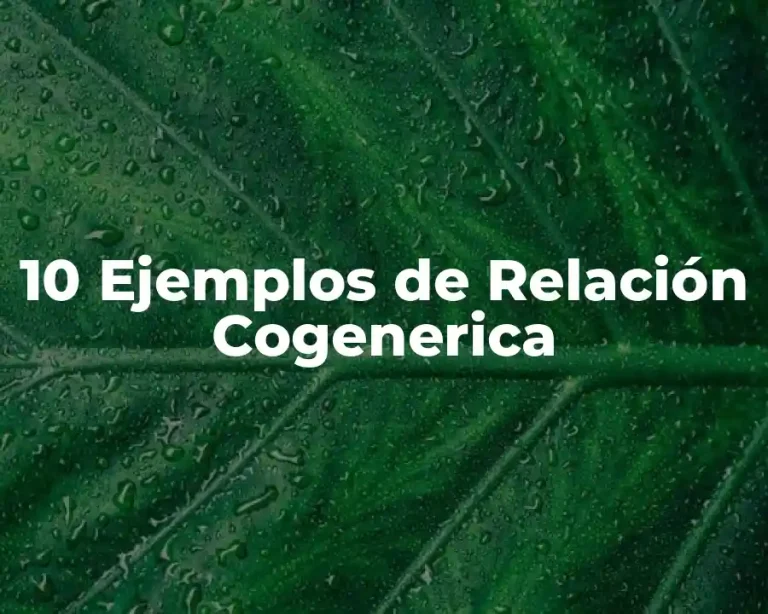 10 Ejemplos de Relación Cogenerica