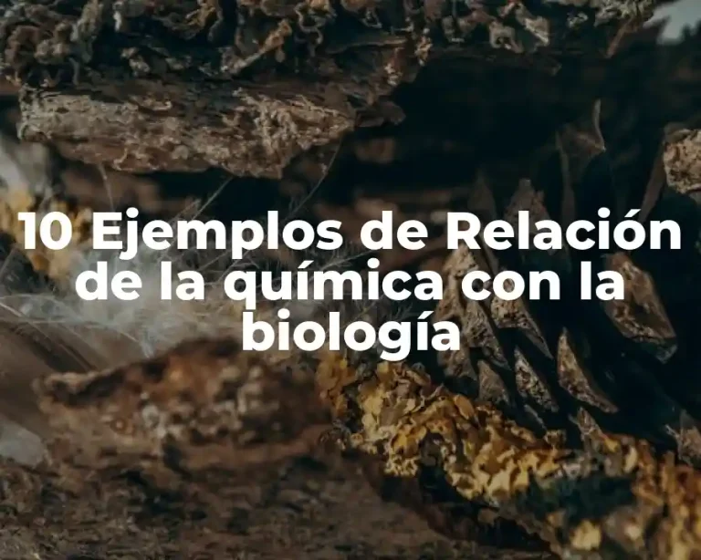 10 Ejemplos de Relación de la química con la biología