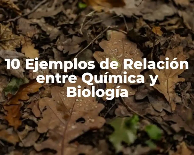 10 Ejemplos de Relación entre Química y Biología