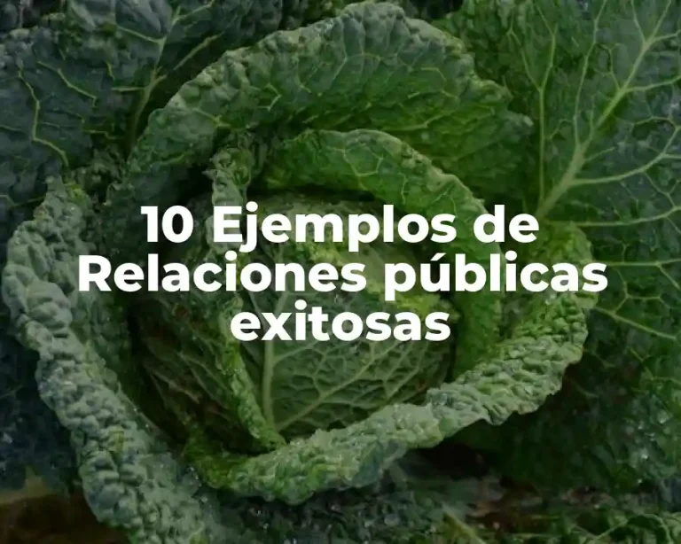 10 Ejemplos de Relaciones públicas exitosas