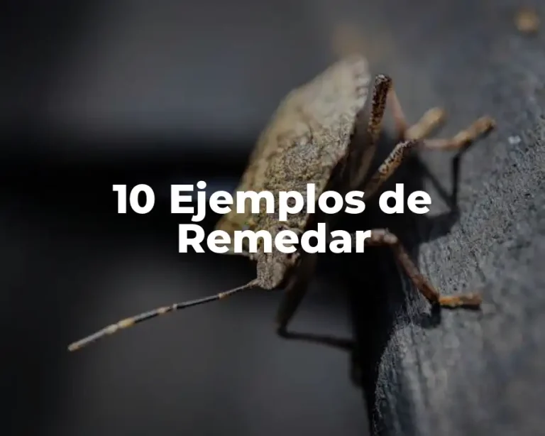 10 Ejemplos de Remedar