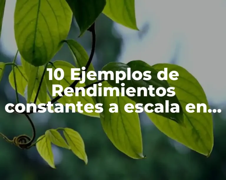 10 Ejemplos de Rendimientos constantes a escala en la vida real