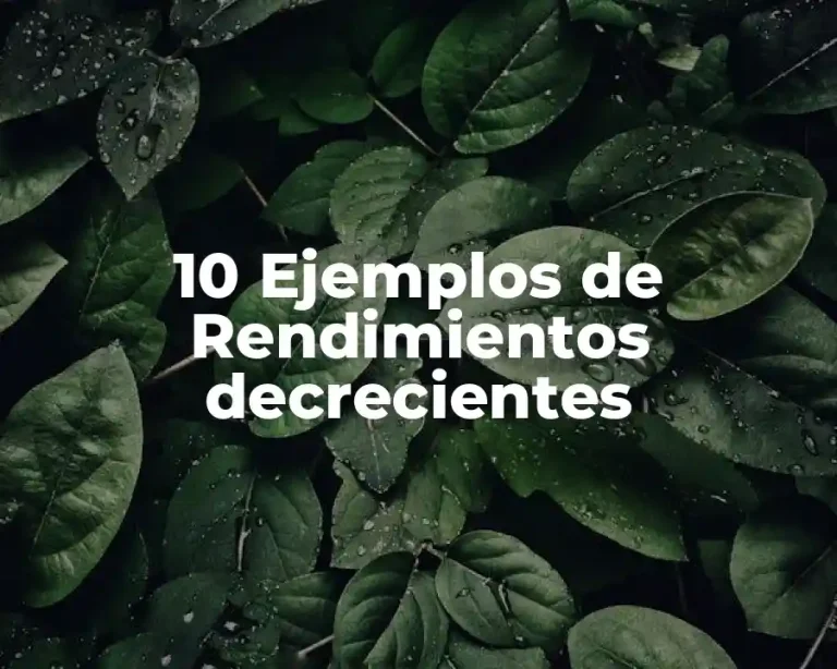 10 Ejemplos de Rendimientos decrecientes