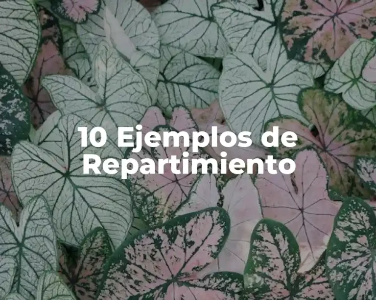 10 Ejemplos de Repartimiento