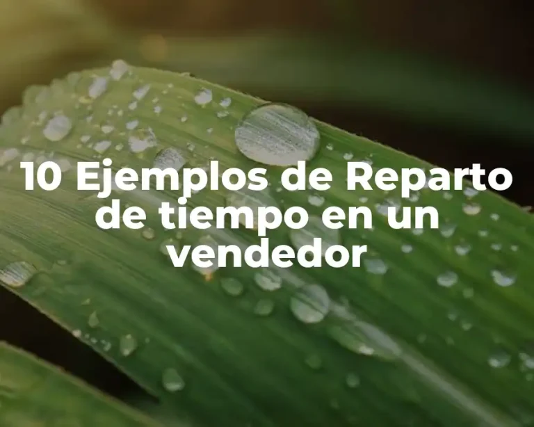10 Ejemplos de Reparto de tiempo en un vendedor