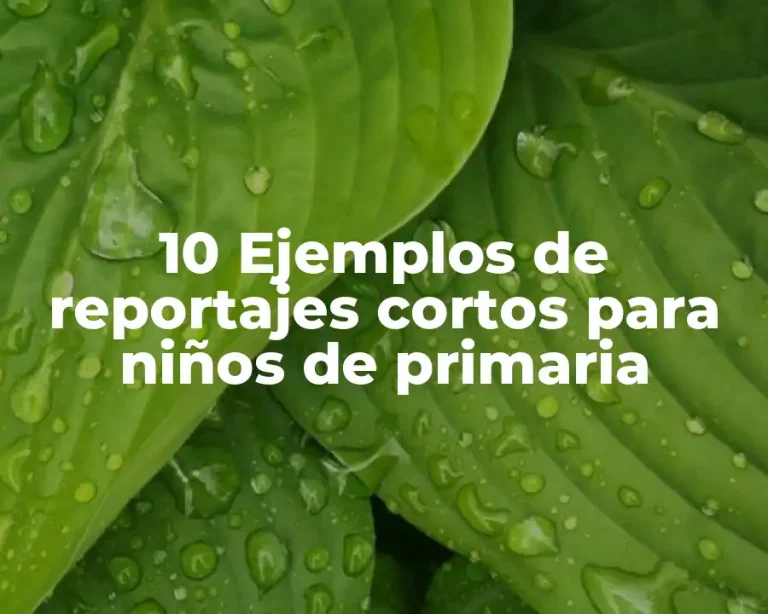 10 Ejemplos de reportajes cortos para niños de primaria