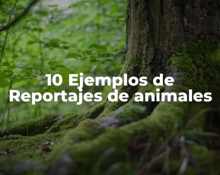 10 Ejemplos de Reportajes de animales