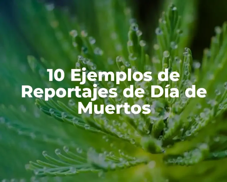 10 Ejemplos de Reportajes de Día de Muertos