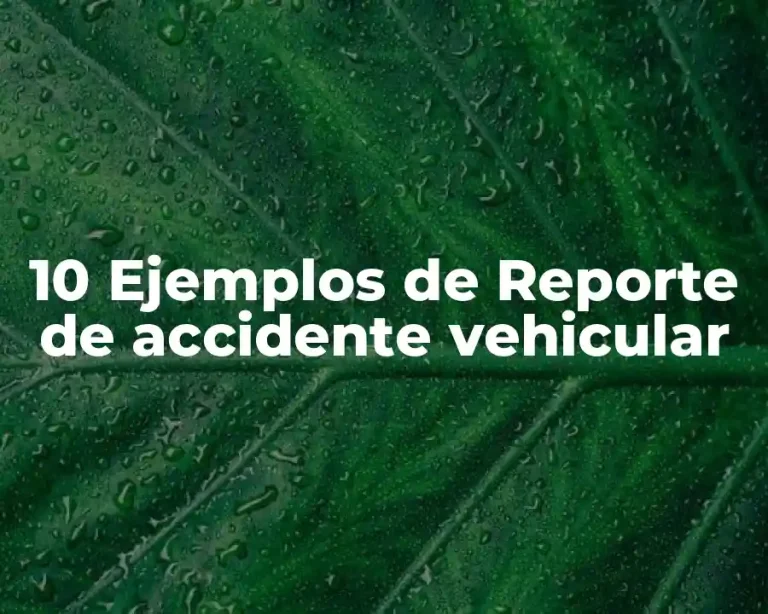 10 Ejemplos de Reporte de accidente vehicular