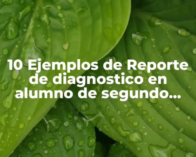 10 Ejemplos de Reporte de diagnostico en alumno de segundo grado