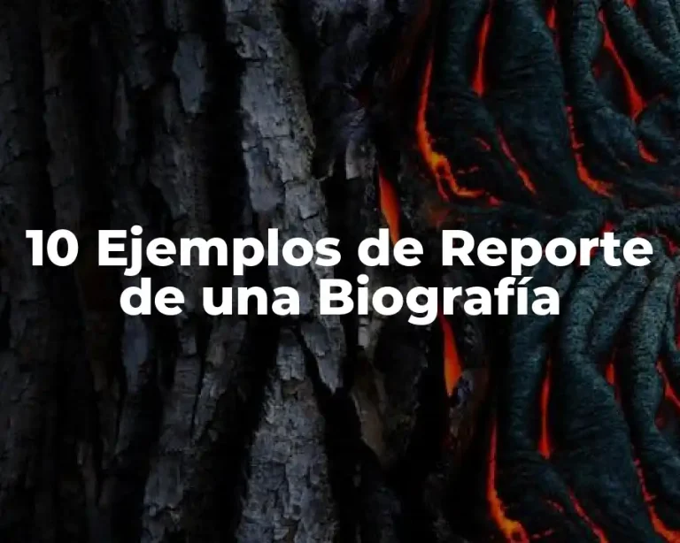 10 Ejemplos de Reporte de una Biografía