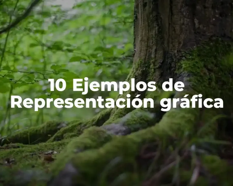 10 Ejemplos de Representación gráfica