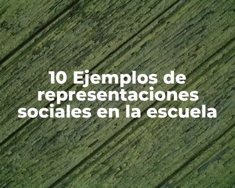 10 Ejemplos de representaciones sociales en la escuela