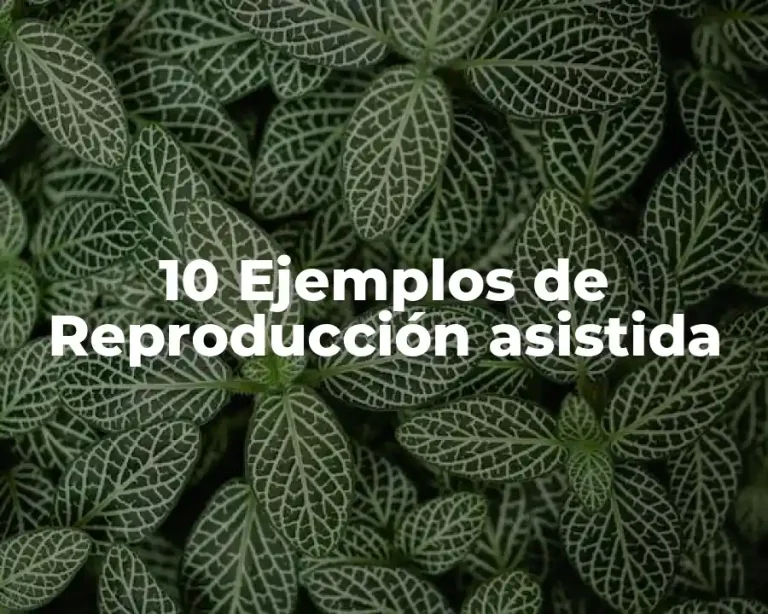 10 Ejemplos de Reproducción asistida
