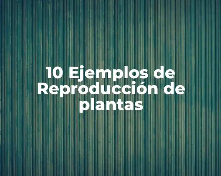 10 Ejemplos de Reproducción de plantas