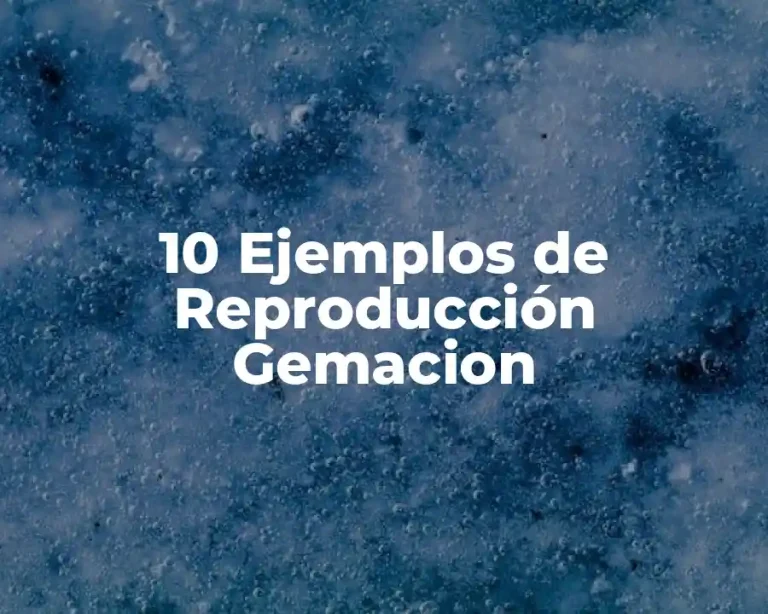 10 Ejemplos de Reproducción Gemacion