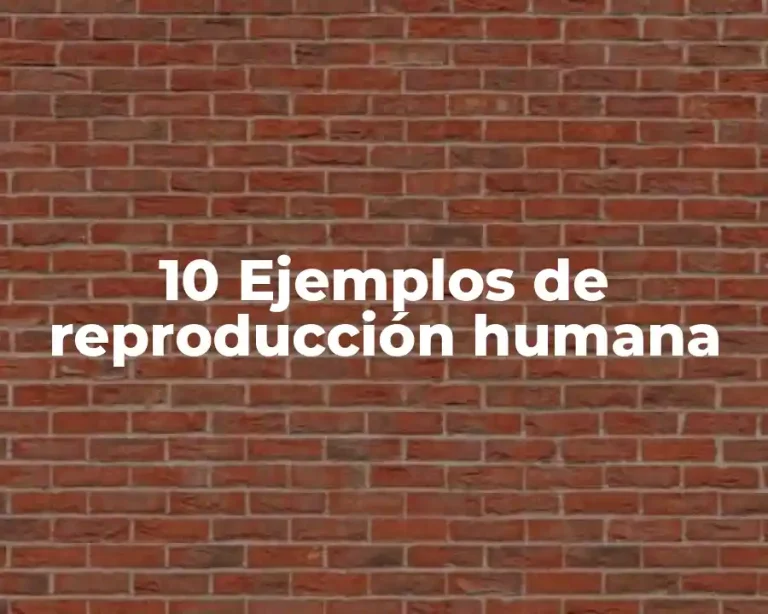 10 Ejemplos de reproducción humana