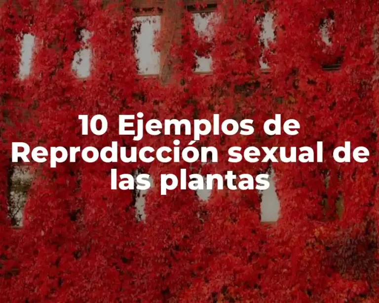10 Ejemplos de Reproducción sexual de las plantas