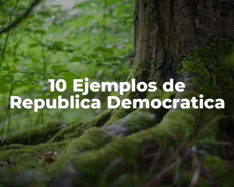 10 Ejemplos de Republica Democratica