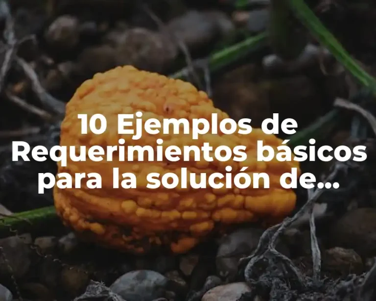 10 Ejemplos de Requerimientos básicos para la solución de problemas heurísticos