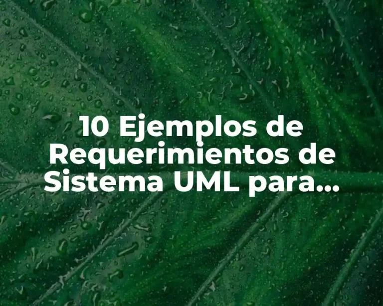 10 Ejemplos de Requerimientos de Sistema UML para Informática