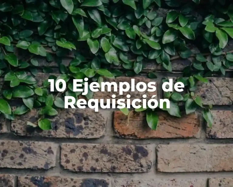 10 Ejemplos de Requisición