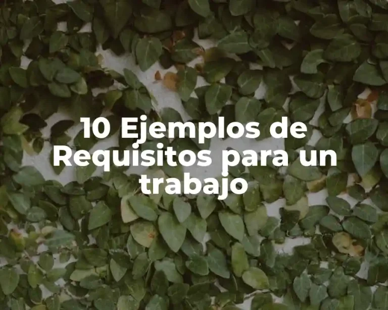 10 Ejemplos de Requisitos para un trabajo