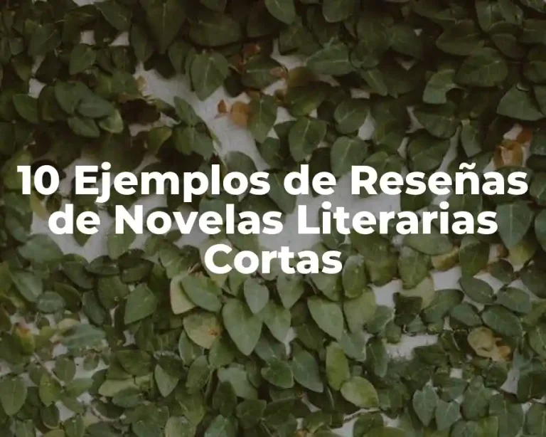 10 Ejemplos de Reseñas de Novelas Literarias Cortas