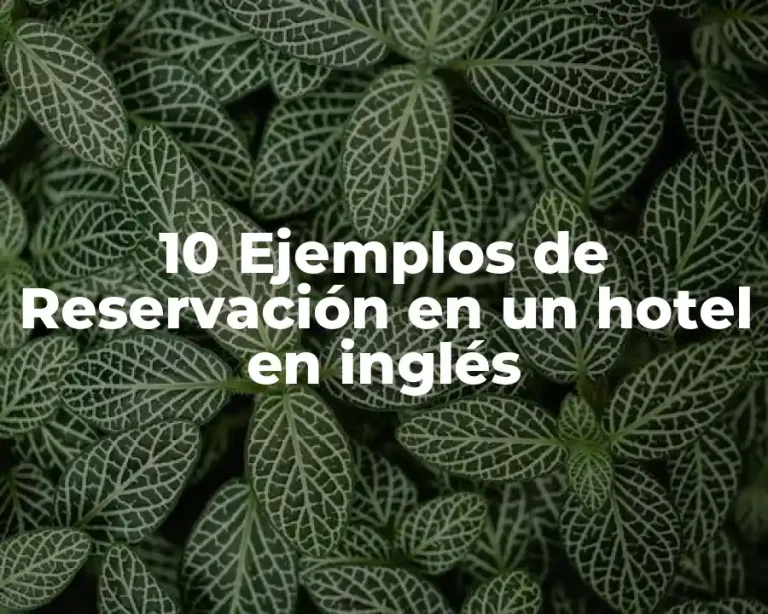 10 Ejemplos de Reservación en un hotel en inglés