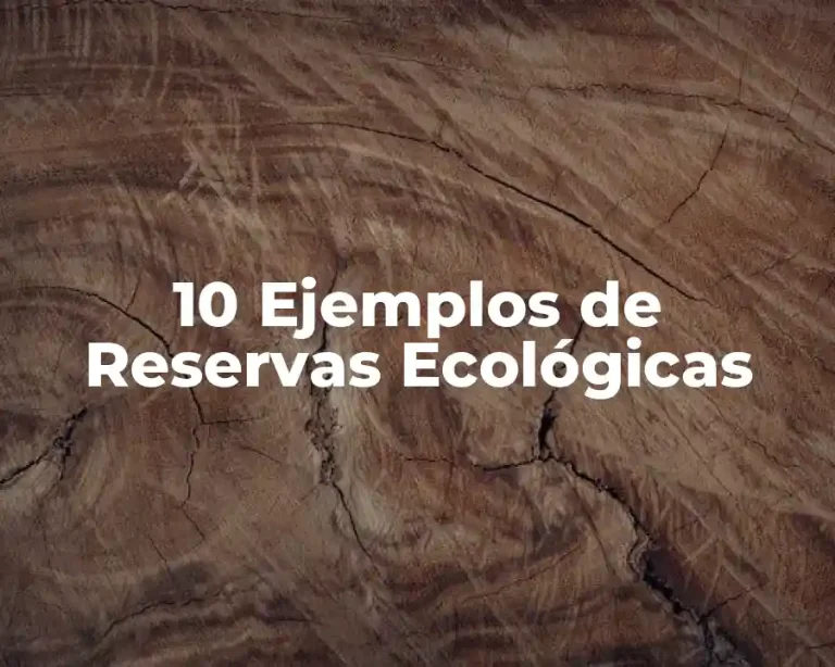 10 Ejemplos de Reservas Ecológicas