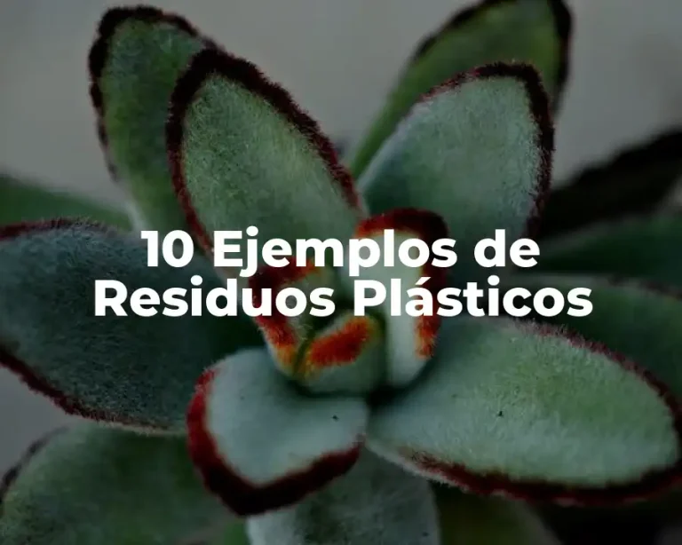 10 Ejemplos de Residuos Plásticos