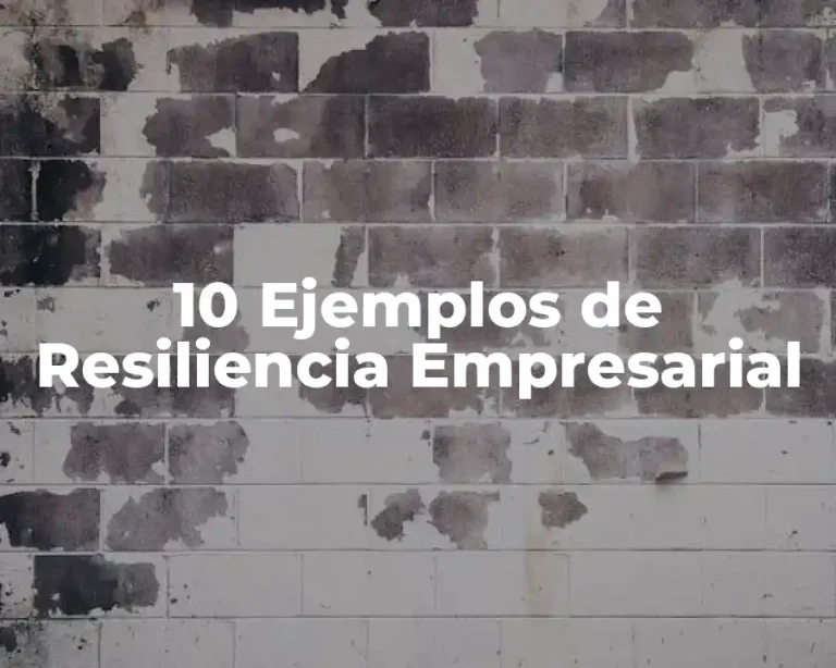 10 Ejemplos de Resiliencia Empresarial