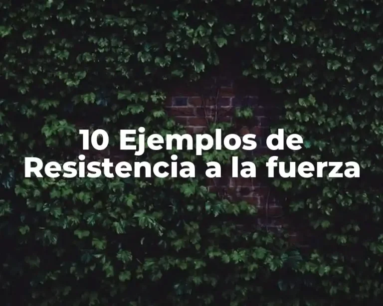 10 Ejemplos de Resistencia a la fuerza