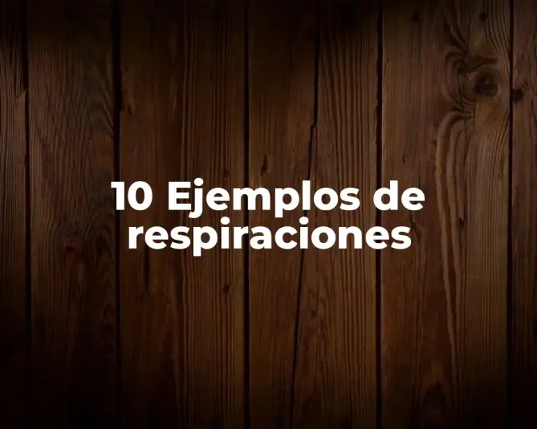10 Ejemplos de respiraciones