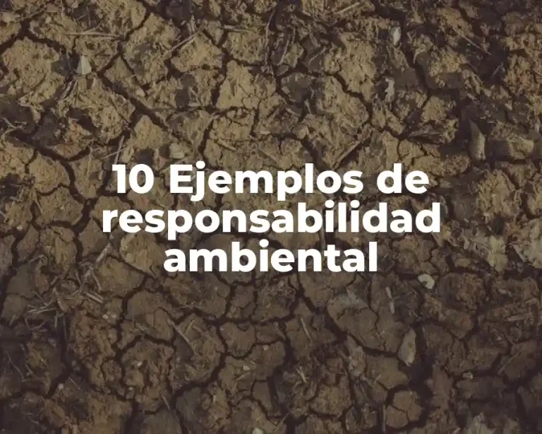 10 Ejemplos de responsabilidad ambiental