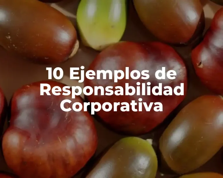 10 Ejemplos de Responsabilidad Corporativa